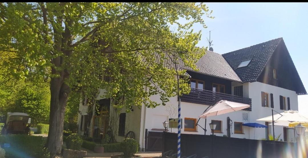 Aparthotel & Wohnungen Am Norderteich Horn-Bad Meinberg Zewnętrze zdjęcie