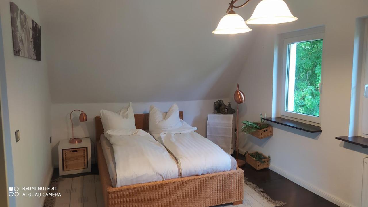 Aparthotel & Wohnungen Am Norderteich Horn-Bad Meinberg Zewnętrze zdjęcie