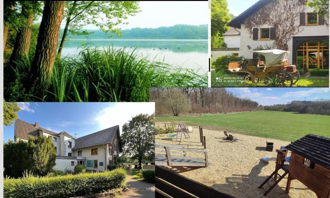 Aparthotel & Wohnungen Am Norderteich Horn-Bad Meinberg Zewnętrze zdjęcie